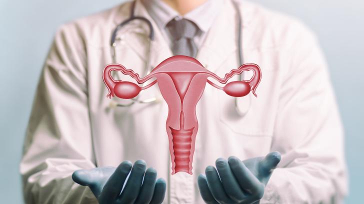 Gynecologist in Viman nagar