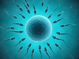 Gynecologist in Dhanori